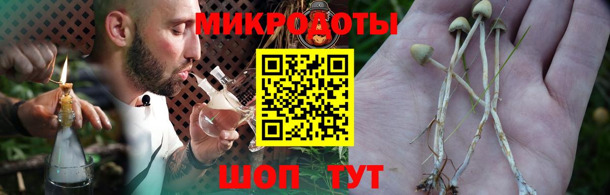 Псилоцибиновые грибы MAGIC MUSHROOMS  Вход с VPN  Галлюциногенные грибы Psilocybine cubensis  Сызрань 